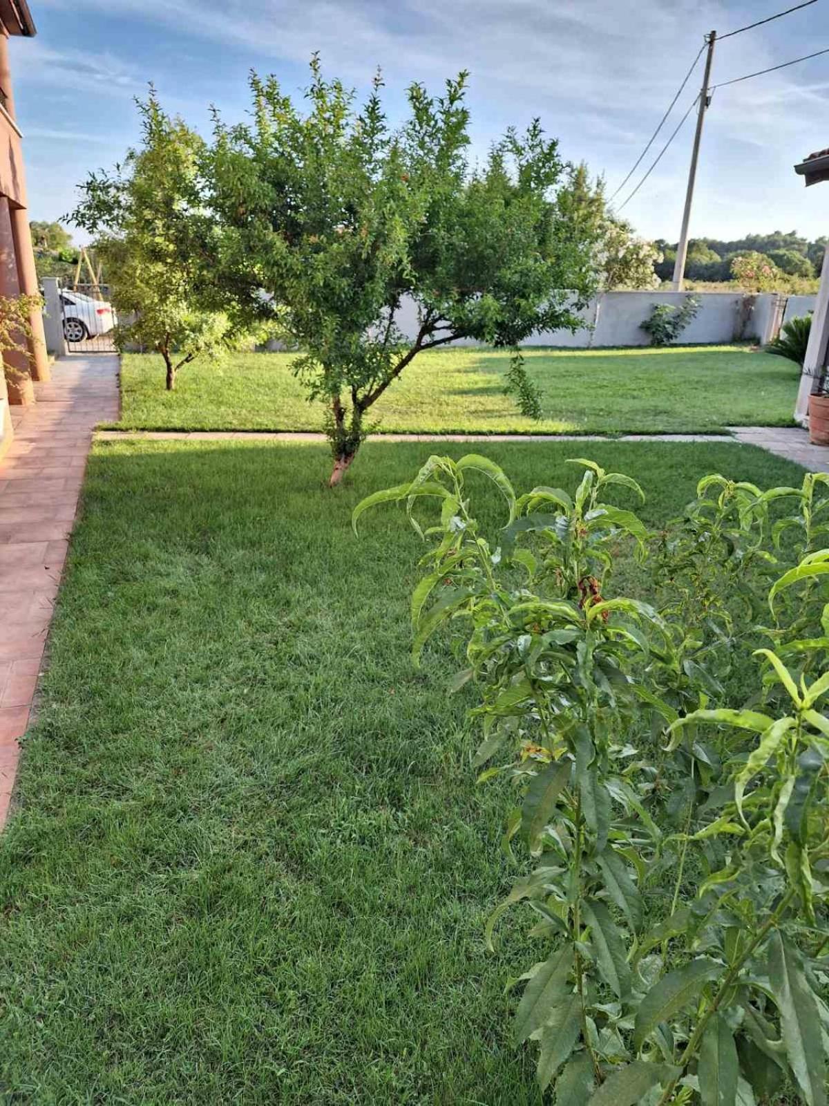 Apartments Ines Pula Exterior photo